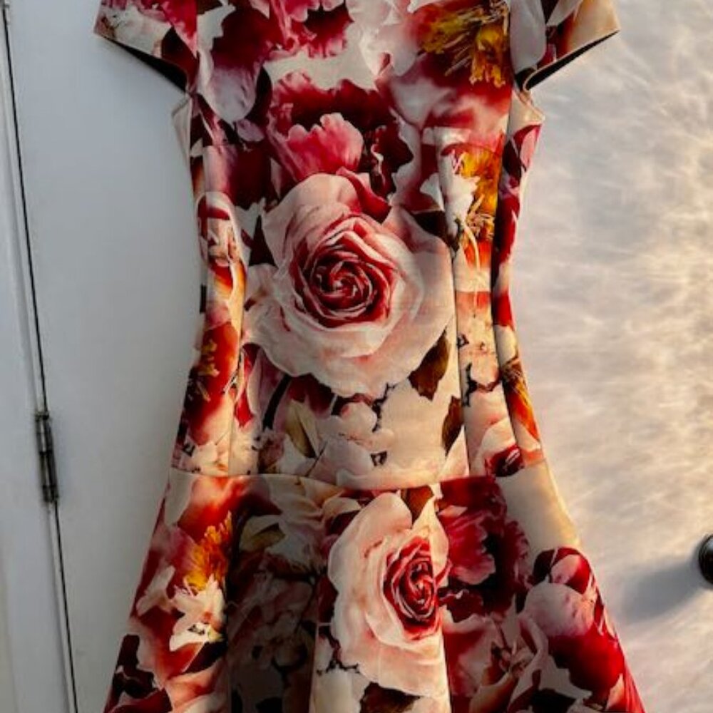 PAULE KA Dress Floral stretch Scuba knee length